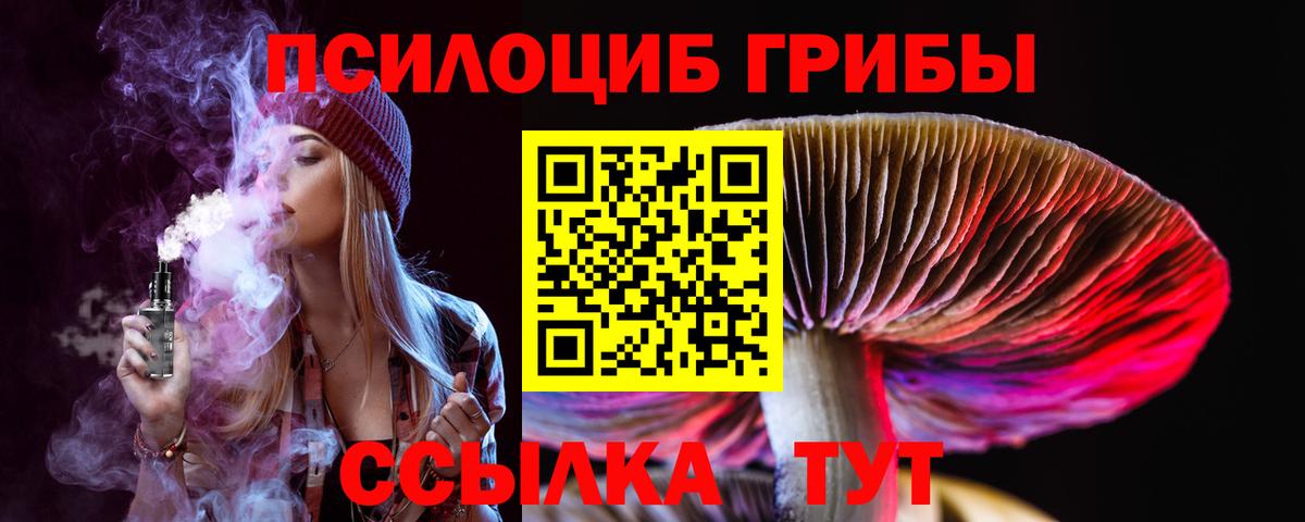 Галлюциногенные грибы GOLDEN TEACHER Кольчугино