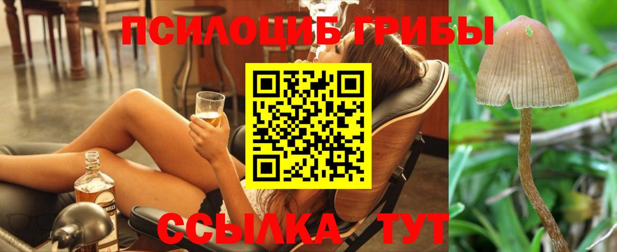 Кольчугино  Псилоцибиновые грибы ЛСД  Вход с VPN 